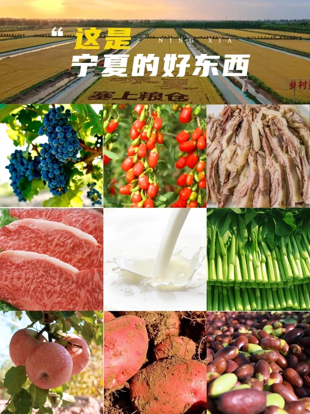 d53f8794a4c27d1e9a7d0decba244b65dcc438bf.webp.jpg d53f8794a4c27d1e9a7d0decba244b65dcc438bf.webp.jpg